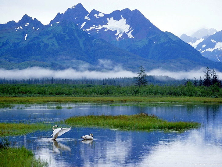 Аляска Крутая Аляска Природа Озер HD Art, Крутая, Аляска, HD обои