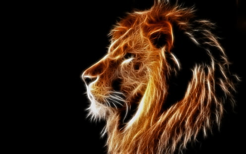 Creative design, light lion, mane, black background, Creative, Design, Light, Lion, Mane, Black, Background, HD wallpaper HD wallpaper