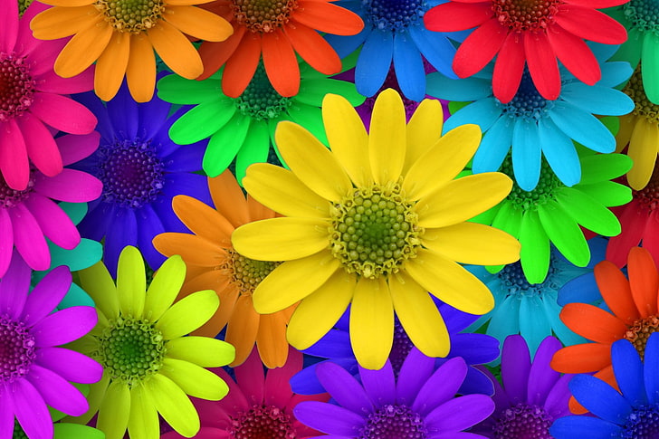 yellow, blue, and purple petaled flowers clip art, macro, flowers, colorful, garden, HD wallpaper