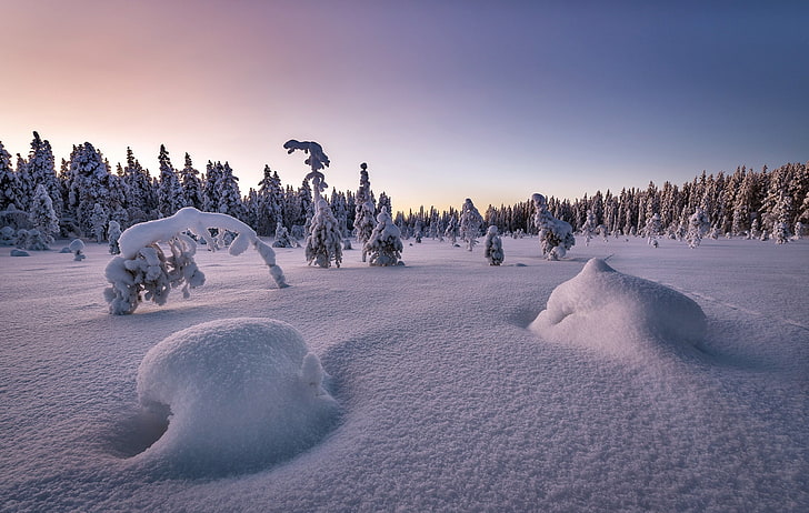природа, пейзаж, сняг, зима, дървета, HD тапет
