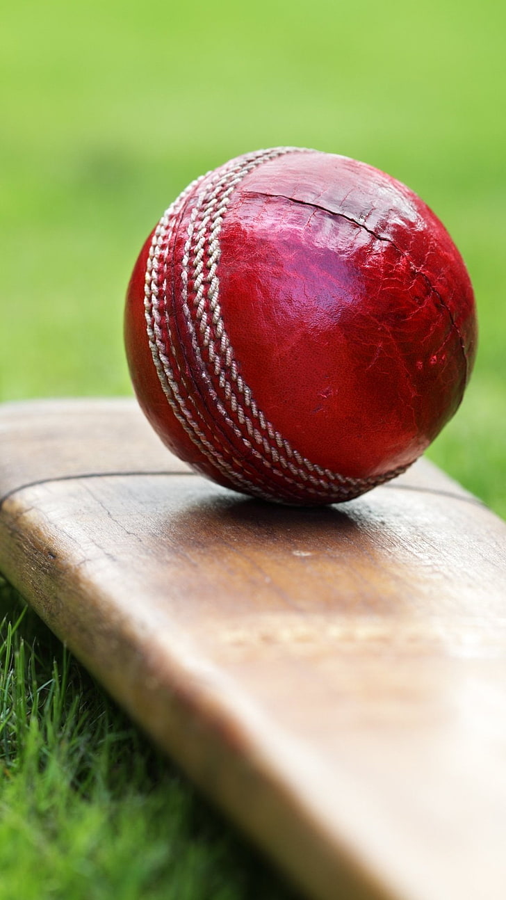 Крикет бухалка и топка, червена топка за крикет и кафява дървена бухалка за крикет, спорт, крикет, топка, HD тапет, тапет за телефон