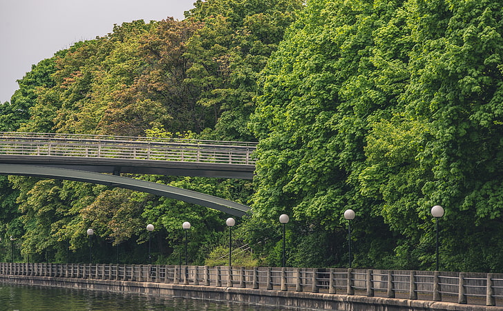 Park Bridge, Artistic, Urban, Spring, Green, Trees, River, Leaves, Park, Canada, Footbridge, Canal, foliage, ontario, ottawa, capital, HD wallpaper
