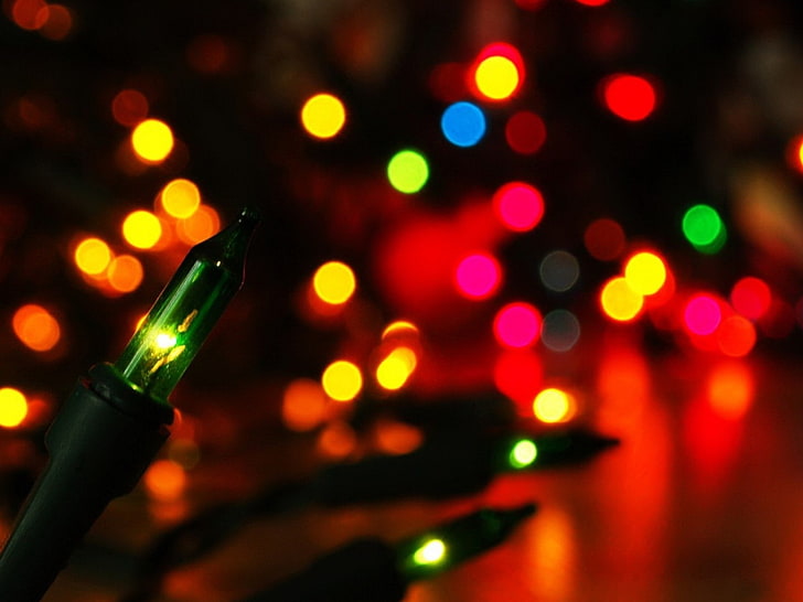Christmas Lights-Holidays Hd Wallpaper, multicolored string lights, HD wallpaper