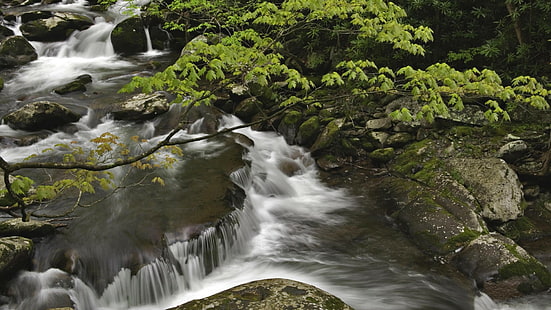 Stream Waterfall Timelapse Forest Tree Rocks Stones HD, ธรรมชาติ, ป่า, หิน, ต้นไม้, หิน, ไทม์แลปส์, น้ำตก, สตรีม, วอลล์เปเปอร์ HD HD wallpaper