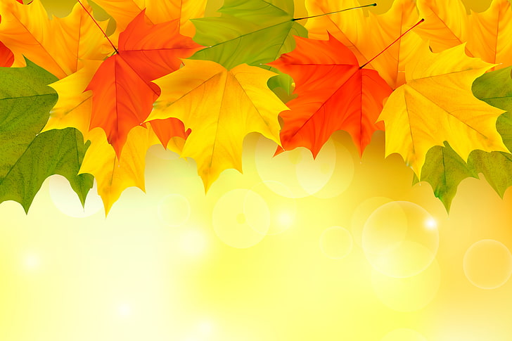 daun kuning, merah, dan hijau, daun, latar belakang, musim gugur, maple, Wallpaper HD