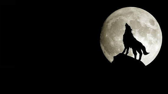 hewan serigala serigala bulan 1366x768 Space Moons HD Seni, Bulan, hewan, Wallpaper HD HD wallpaper