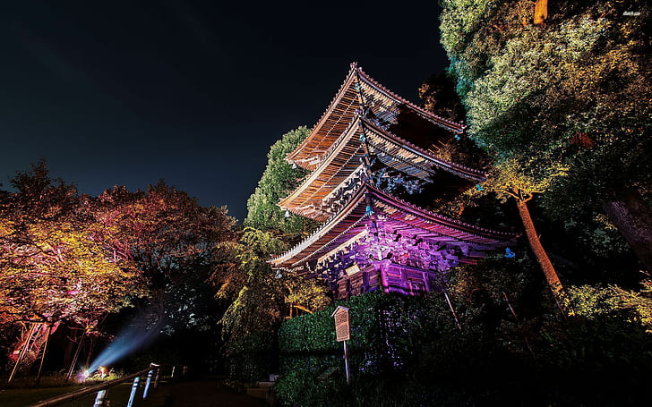 pagod marrón, Tokio, noche, Fondo de pantalla HD