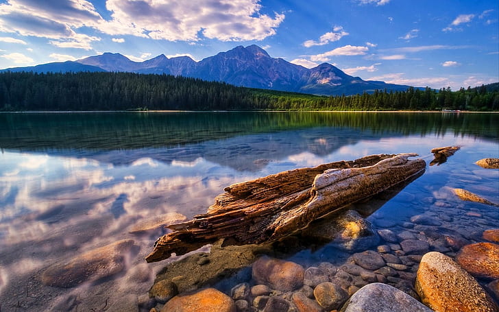 Clear lake, mountains, forest, driftwood, stones, clouds, Lake, Mountains, Forest, Driftwood, Stones, Clouds, HD wallpaper