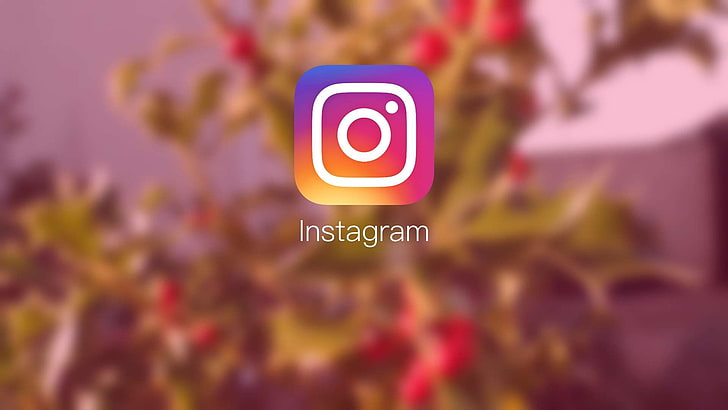 aplikasi, aplikasi, instagram, Wallpaper HD