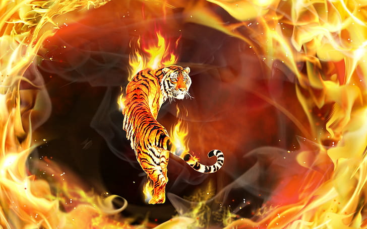 Tiger, Round, Enveloped, Flames, HD wallpaper