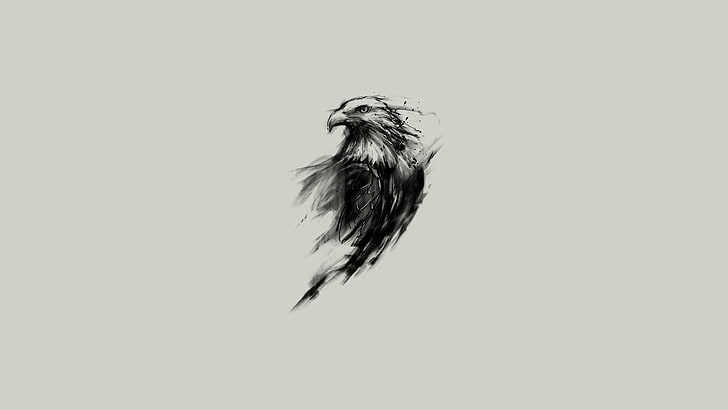 эскиз орла, орел, арт, черный, краска, HD обои