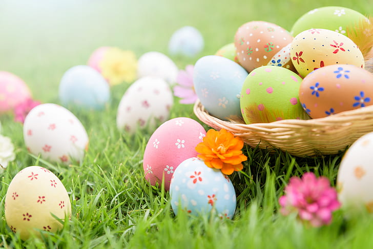 grass, flowers, eggs, Easter, spring, decoration, pastel colors, HD wallpaper