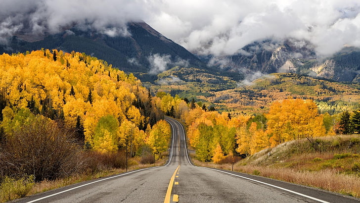 road, nature, autumn colors, leaves, yellow leaves, sky, highway, tree, mountain, autumn, infrastructure, wilderness, mountain pass, plant, HD wallpaper