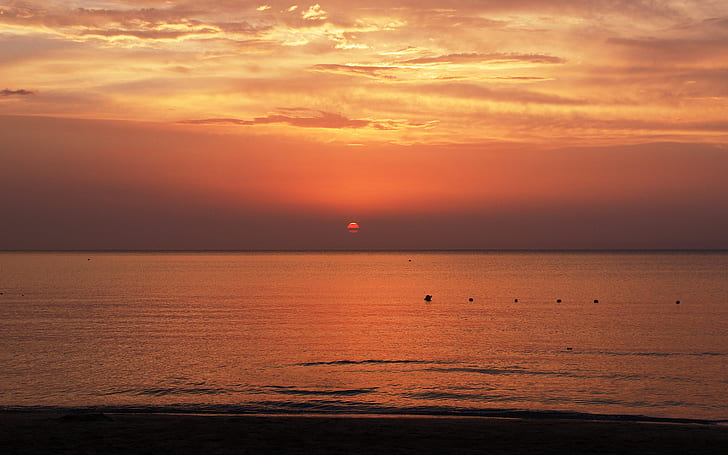 Sunset Ocean Beach HD, alam, samudra, matahari terbenam, pantai, Wallpaper HD