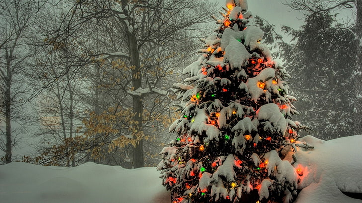녹색 크리스마스 트리, 크리스마스 트리, 장난감, 빛, 눈, HD 배경 화면