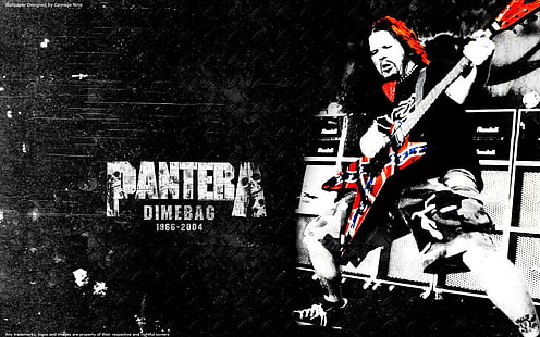 Музыкальная группа, Pantera, Dimebag Darrell, гитара, гитарист, хеви-метал, трэш-метал, HD обои HD wallpaper