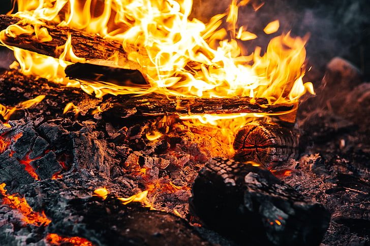 bonfire, fire, flames, coals, ash, firewood, HD wallpaper