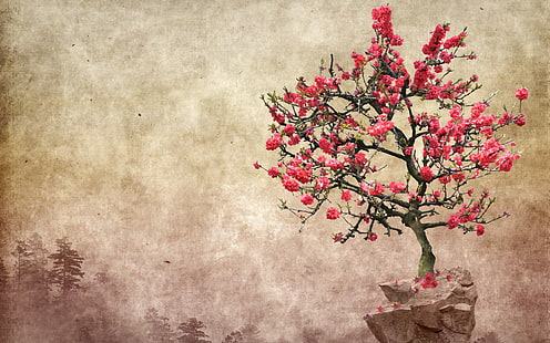 fiori rosa, giardino zen, Sfondo HD HD wallpaper