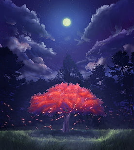 ภาพประกอบต้นไม้ใบไม้สีแดงดอกซากุระ, วอลล์เปเปอร์ HD HD wallpaper