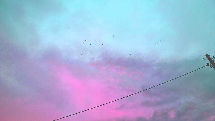 clouds, colorful, flying, photo manipulation, sky, cyan, pink, birds, minimalism, HD wallpaper