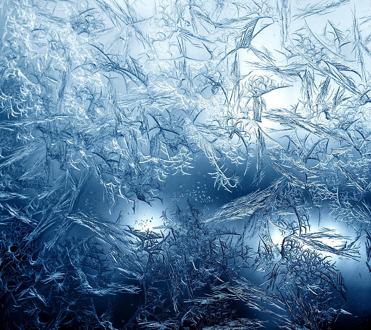 Grau lässt Fotografie, Eis, Frost, Makro, HD-Hintergrundbild