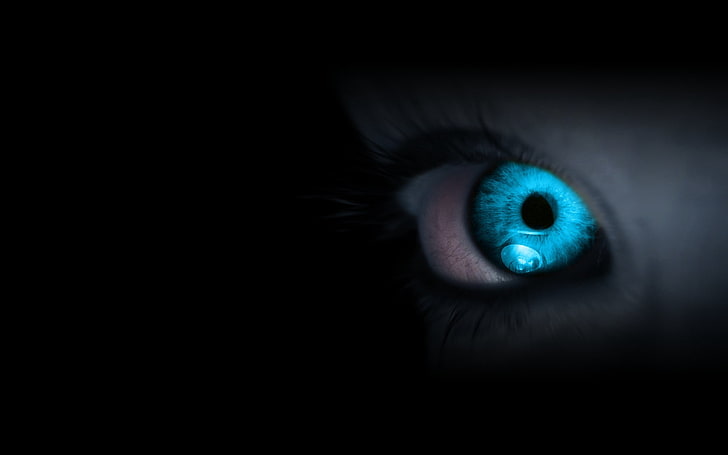 occhio blu, occhi, blu, ciglia, pupilla, paura, Sfondo HD