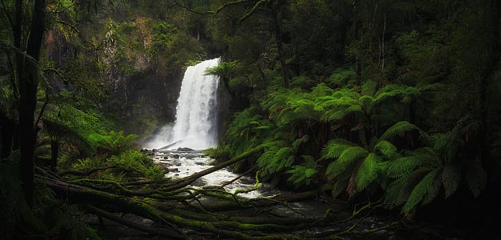 forest, river, waterfall, Victoria, Australia, fern, Aire River, Hopetoun Falls, Водопад Хоуптаун, Река Эйр, HD wallpaper
