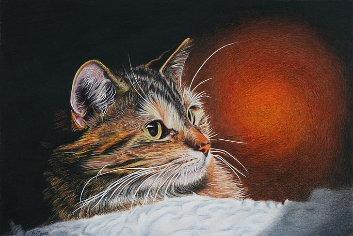 cat, look, Koshak, painting, Tomcat, HD wallpaper