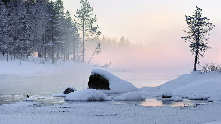 Winter, Schnee, Landschaft, HD-Hintergrundbild