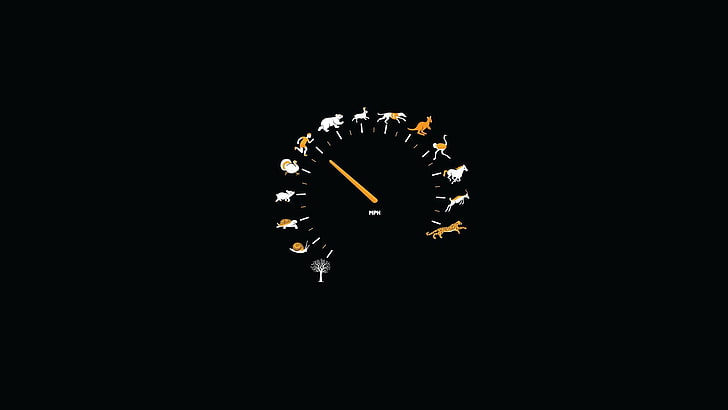 кръгъл черен аналогов часовник, без заглавие, хумор, минимализъм, скоростомер, животни, дигитално изкуство, HD тапет