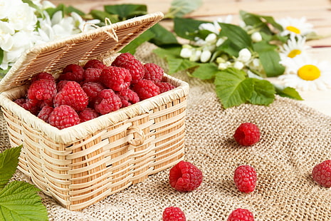 과일, 딸기, 라즈베리, 바구니, 음식, 정물, HD 배경 화면 HD wallpaper