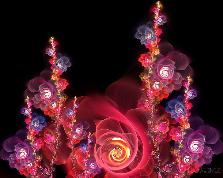 fond d'écran floral rose et violet, abstraction, rose, rouge, fractal, fleurs, Fond d'écran HD