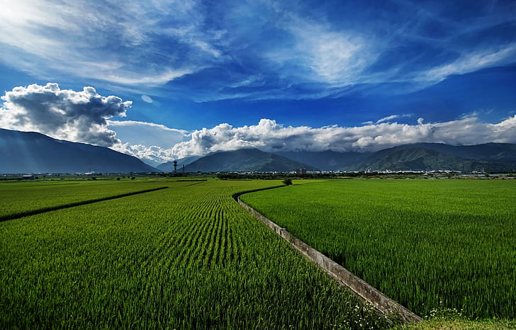 green farm near in mountain during daytime, Fond, Memories, Rice Fields, Visual, Feast, Forever!  green, green farm, mountain, daytime, hualien  taiwan, tourism, county, remote, photography, ©all, rights, reserved, nature, agriculture, rural Scene, farm, landscape, outdoors, scenics, meadow, field, rice Paddy, HD wallpaper