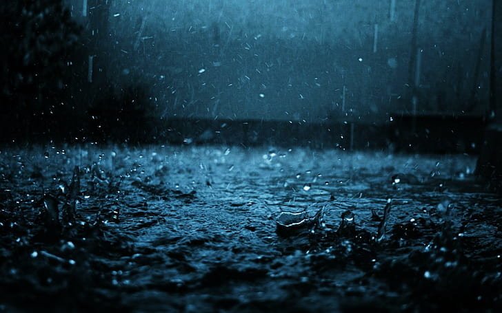 pluie, nature, Fond d'écran HD