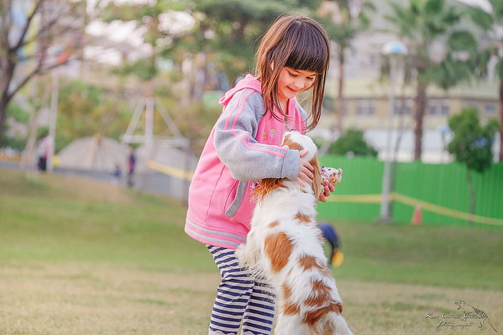 animal, child, contact, cute, dog, fun, girl, happiness, happy, hug, joy, kid, leisure, outdoors, park, person, pet, playing, puppy, smile, touch, young, HD wallpaper