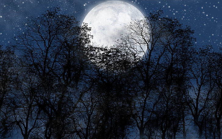 กลางคืน, ดวงจันทร์, ดวงดาว, ต้นไม้, ภาพเงา, ศิลปะดิจิตอล, วอลล์เปเปอร์ HD