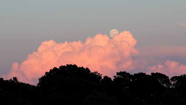 obraz sylwetki drzew, chmur, Księżyca, sylwetki, zachodu słońca, nieba, Tapety HD
