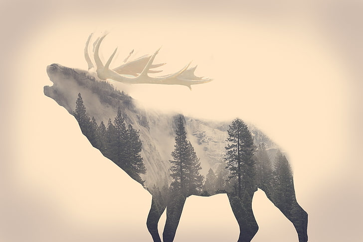 gray moose, stags, animals, long exposure, forest, majestic casual (channel), minimalism, elk, beige, double exposure, pine trees, HD wallpaper