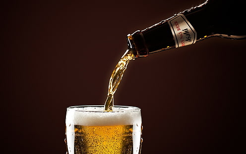 beer, drink, HD wallpaper HD wallpaper