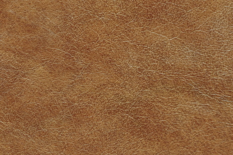 коричневая кожаная листовая иллюстрация, кожа, текстура, кожа, HD обои HD wallpaper