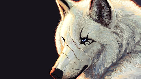 白いオオカミの図、オオカミ、ファンタジーアート、アートワーク、動物、傷跡、 HDデスクトップの壁紙 HD wallpaper