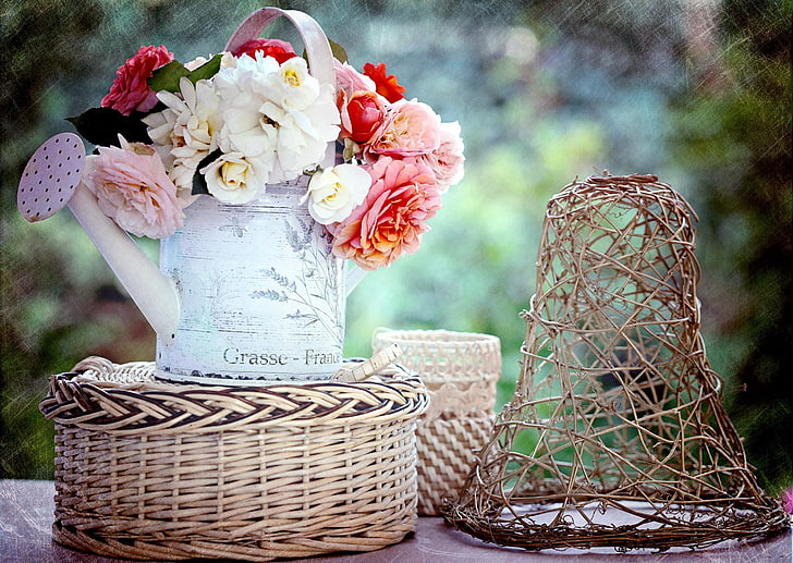assorted-color petaled flowers, roses, buds, garden, flower, watering can, basket, HD wallpaper
