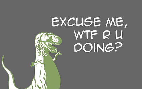 excuse me wtf r u doing? text, dinosaurs, humor, artwork, HD wallpaper HD wallpaper