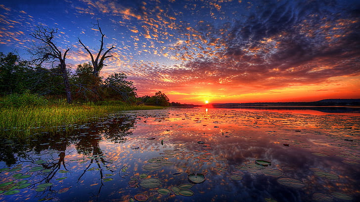Таиланд озеро лотос тамбон чианг хао красный закат небо облака отражение лес красивые обои Hd 1920 × 1080, HD обои