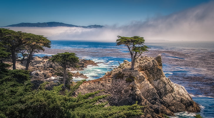 Monterey Bay, Stany Zjednoczone, Kalifornia, Plaża, Drzewo, Dysk, Scenic, Wybrzeże, Monterey, canon, Cypress, canon5d, 5dmark3, canon5dmarkiii, 17mile, 17miledrive, cypresstree, montereybay, pebblebeach, Tapety HD