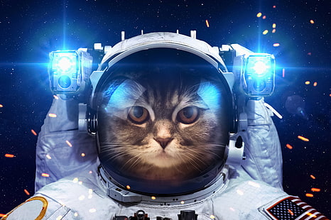 gatto indossa tuta da astronauta, gatto, spazio, luce, umorismo, astronauta, la tuta, lanterne, Sfondo HD HD wallpaper