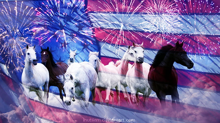 Fête, 4 juillet, feux d'artifice, cheval, fête de l'indépendance, États-Unis d'Amérique, Fond d'écran HD