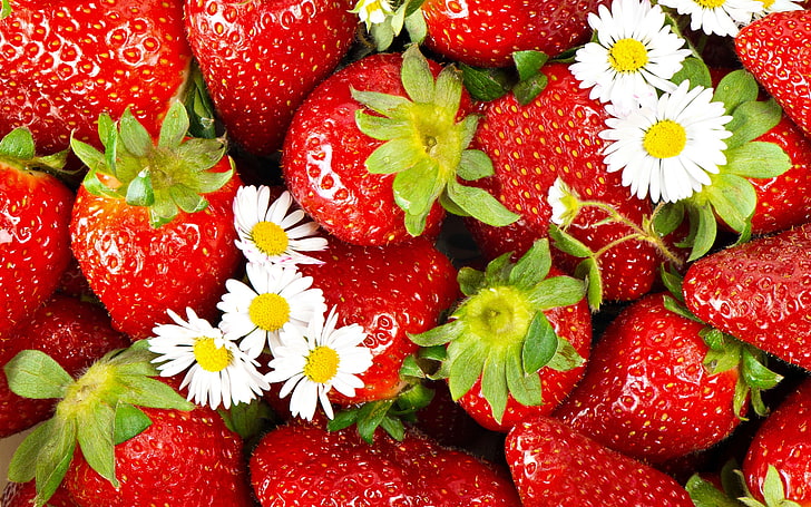 pile of strawberries, strawberry, berry, chamomile, HD wallpaper