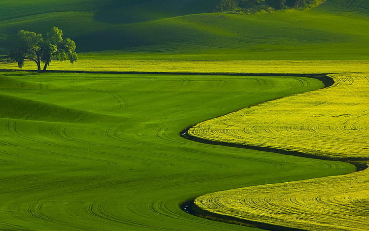 جين لام ، أرض ، جين ، صورة ، جميلة ، ثلاثية الأبعاد ومجردة، خلفية HD