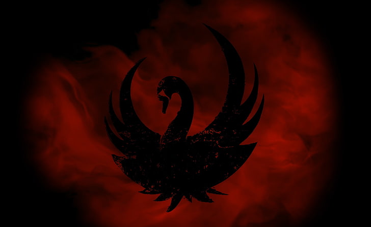 Черният лебед, илюстрация с лого на черна птица, Филми, Други филми, Лебед, Черно, HD тапет